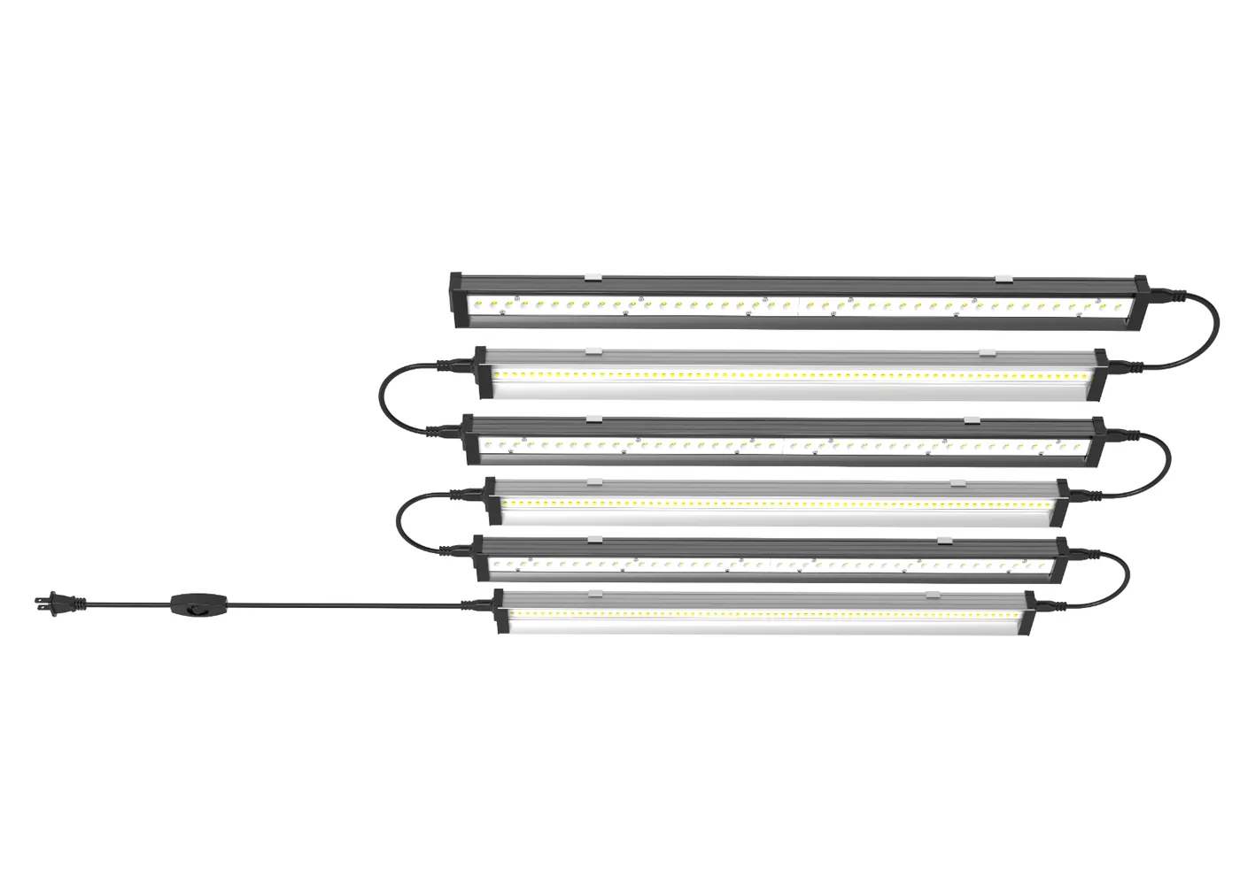 Interconnected Bo Lights bars