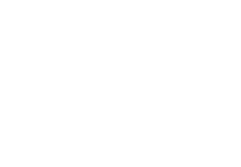 Bo Lights