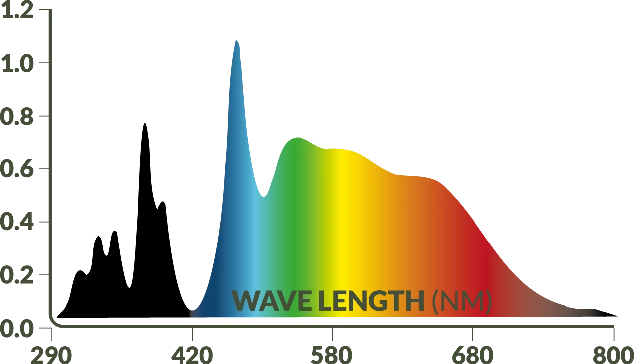 Spectre lumineux — Rampe LED UV 6 %
